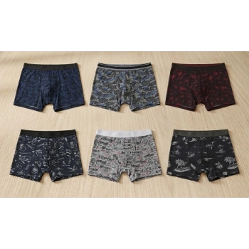 Bicomi 6lı Paket – Gün Boyu Ferahlık Sağlayan, Terletmeyen Pamuklu Likralı Erkek Boxer Seti
