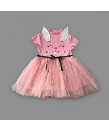 1-2-3 Yaş Payetli Kulak Tavşan Baskılı Kız Bebek Elbisesi Gül Kurusu