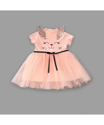 1-2-3 Yaş Payetli Kulak Tavşan Baskılı Kız Bebek Elbisesi Pudra