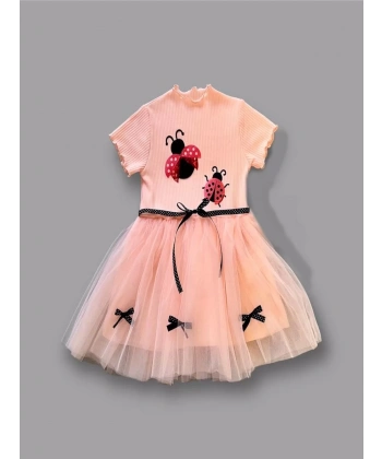 1-2-3 Yaş Uğur Böceği Nakışlı Kurdela Kuşak Kız Çocuk Elbisesi Somon