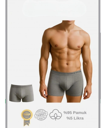 Bicomi Pamuklu Düz Gri Renk Erkek Boxer