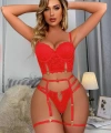 Bicomi Kırmızı Dantelli Jartiyer Fantezi Seksi Büstiyer Takımı