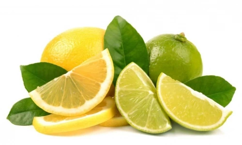 Limon: Asidin İçindeki Zeka, Damarın İçindeki Işık