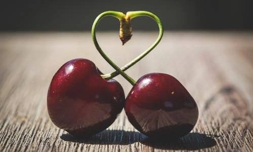 Sapından Çekirdeğine Doğanın Şiiri