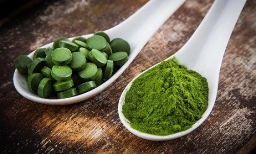 Spirulina Yosunu