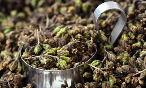 Tıbbi ve Aromatik Bitkiler Üzerine
