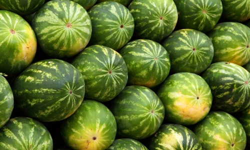 Yazın Serinleten İlacı