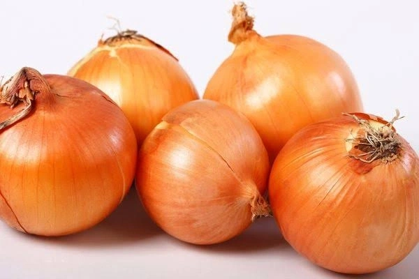 Lezzetin Ötesinde Katman Katman Şifa