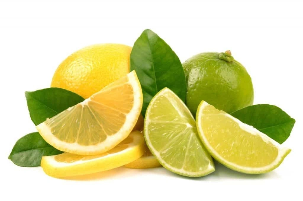 Limon: Asidin İçindeki Zeka, Damarın İçindeki Işık