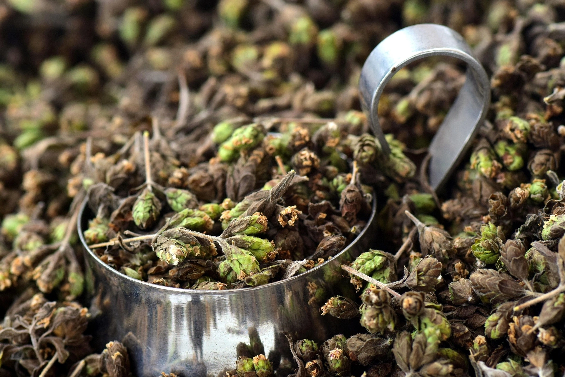 Tıbbi ve Aromatik Bitkiler Üzerine