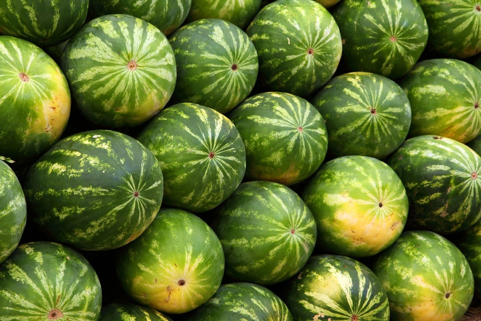 Yazın Serinleten İlacı