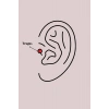316L Çelik Gümüş Renk Zirkon Taşlı Çiçek Tragus Piercing