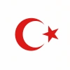 Türk Bayrağı Oto Sticker Kırmızı 23x17 cm
