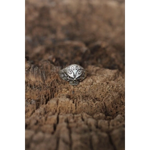 Ayarlanabilir Motifli Kuru Kafa Tasarımlı Erkek Yüzük