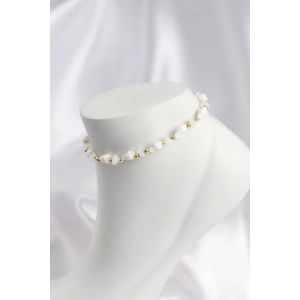 Doğal Deniz Kabuğu Model ve Kristal Taş Model Halhal