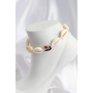 Doğal Kauri Kabuğu Asansörlü Model Halhal