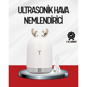 El Tipi USB Mini Soğuk Mist Nemlendirici 220 ml Tank