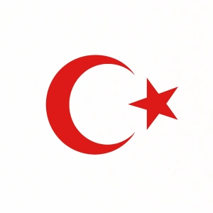 Türk Bayrağı Oto Sticker Kırmızı 23x17 cm