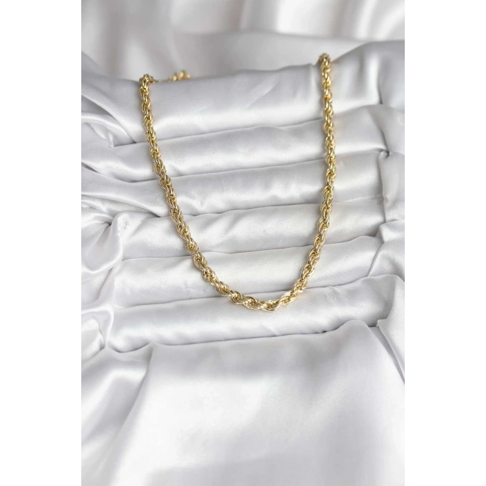 14K Gold Renk Kaplama Burgu Model CM Kadın Kolye