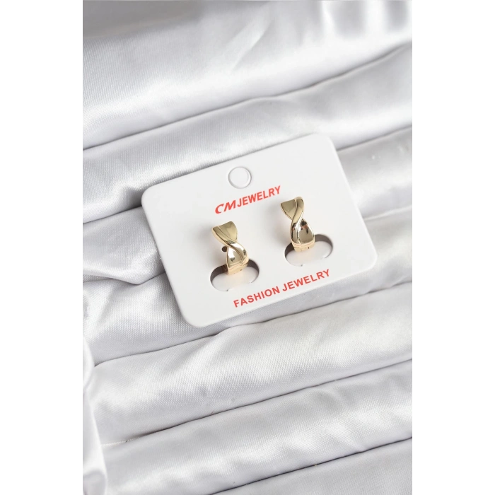 14K Gold Renk Kaplama CM Kadın Küpe - TJ-BKP11400