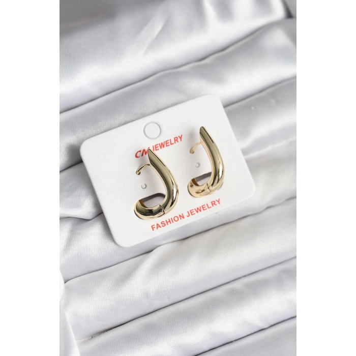 14K Gold Renk Kaplama CM Kadın Küpe - TJ-BKP11424