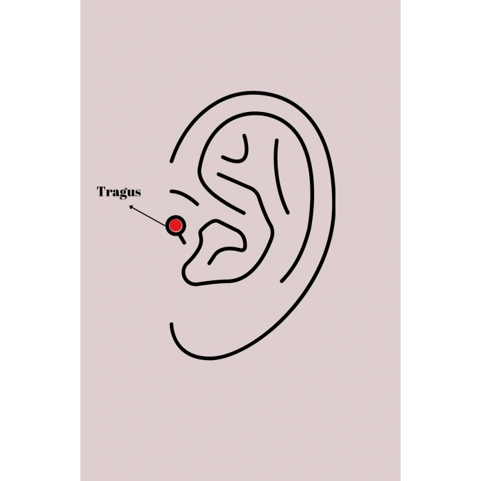 316L Çelik Gümüş Renk Mi Zirkon Taşlı Tragus Piercing