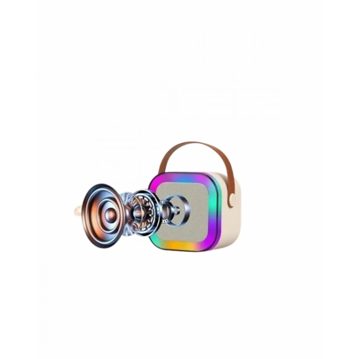 Yüksek Performanslı Kablosuz Karaoke Hoparlör