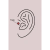 316L Çelik Gümüş Renk Zirkon Taşlı Çiçek Tragus Piercing