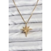 316L Çelik Zincir Gold Renk Kutup Yıldızı Model 60 cm Zincir Kadın Kolye - TJ-BKO10759