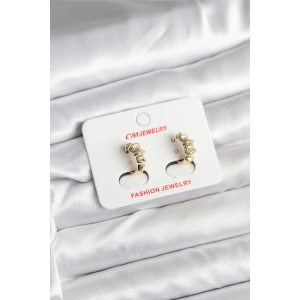 14K Gold Renk Kaplama CM Kadın Küpe - TJ-BKP11403