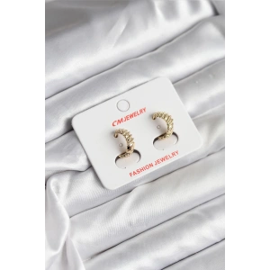 14K Gold Renk Kaplama CM Kadın Küpe - TJ-BKP11412