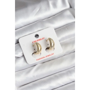 14K Gold Renk Kaplama CM Kadın Küpe - TJ-BKP11429