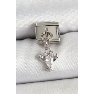316L Çelik Sallantılı Zirkon Taşlı Model Gümüş Renk Nomination Charm - TJ-BC1449