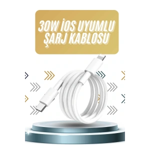 IOS Tüm Serilerle Uyumlu 30W Hızlı Şarj Aleti 11 12 13 14/Pro Max Mini Plus
