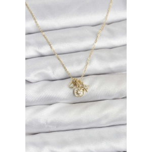 Pirinç Gold Renk Minimal Charmlı Kadın Kolye - TJ-BKO10803