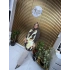Gül Rüyası Tunik Kahverengi