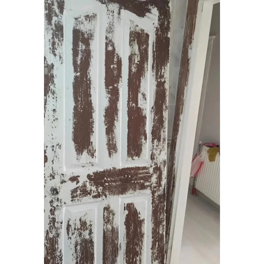 Soltek Vernik Boya Sökücü Kimyasal 1 Kg