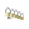 Sarı Asma Kilit 63mm