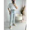 Buz Mavisi Mom Jean