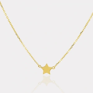 14 Ayar Altın Yıldız Kolye